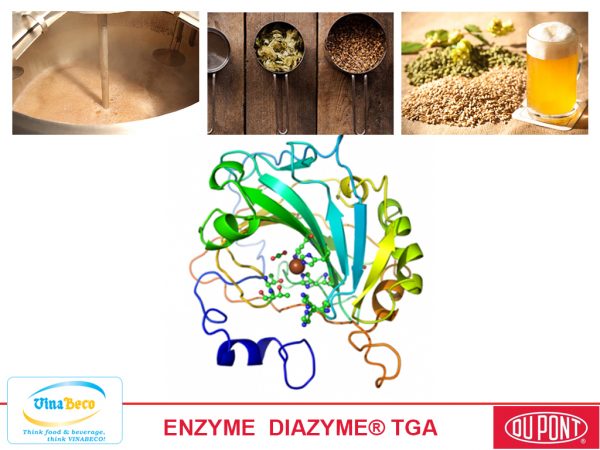 Enzyme Diazyme TGA - VinaBeco - Công Ty CP Công Nghệ Bia Rượu Nước Giải Khát Việt Nam